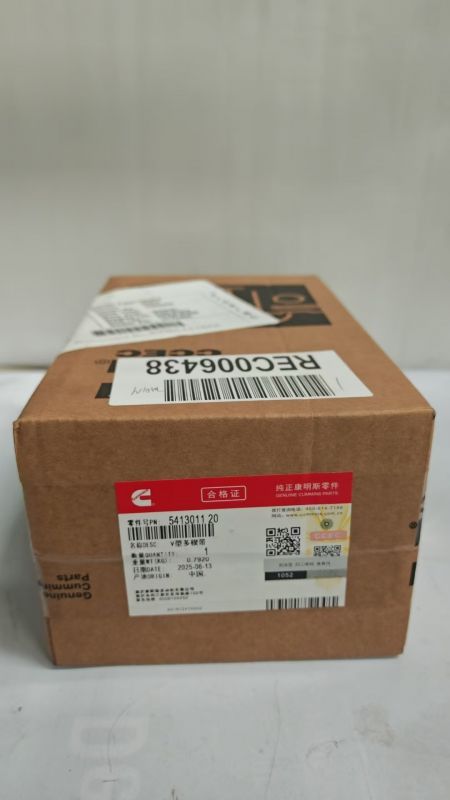 ���쿵��˹����ͷ����Ƥ��5413011-20